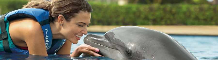 Royal Dolphin Swim Cozumel 8