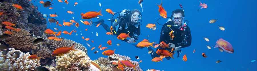 PADI Scuba Refresher Course 6