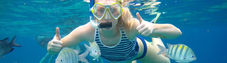 2 Reef Glass Bottom Snorkeling Excursion 8