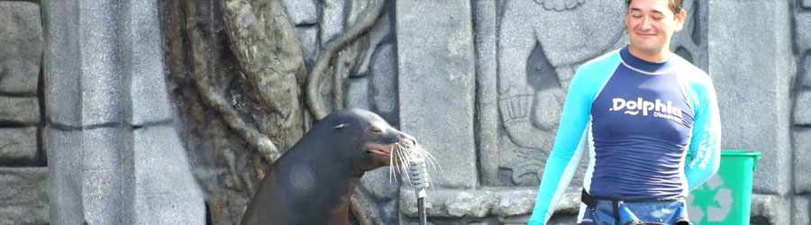 Cozumel Sea Lion Discovery 1