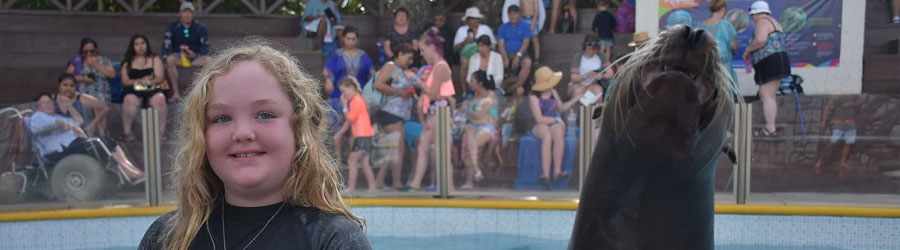 Cozumel Sea Lion Discovery 2