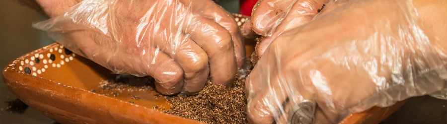 Tequila Seminar at Discover Mexico Park 1