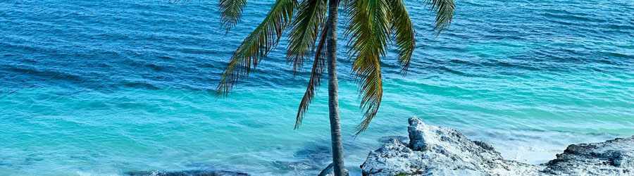 Tortugas Beach All Inclusive 2