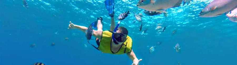 Tortugas Beach All Inclusive 5