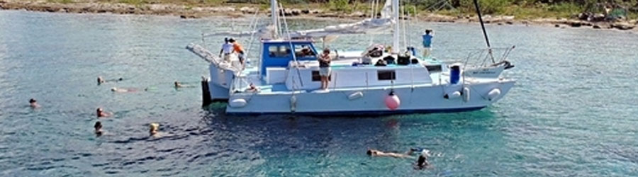Cozumel Catamaran Sailing & 2-Reef Snorkeling Excursion 1