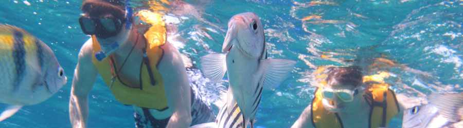 Xrails-Jade-Caverns 1