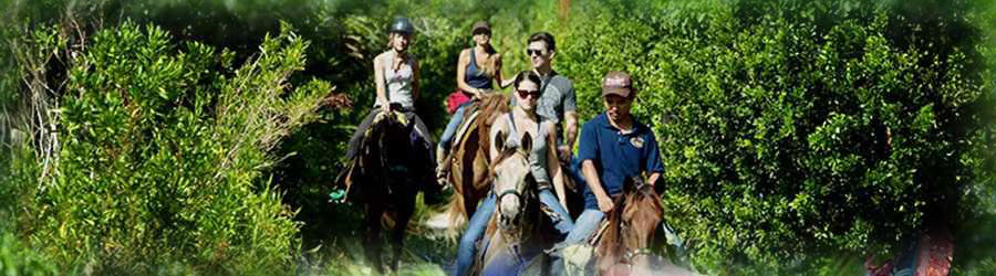 Cozumel Zip Line & Jungle Horseback Riding Tour Combo 8