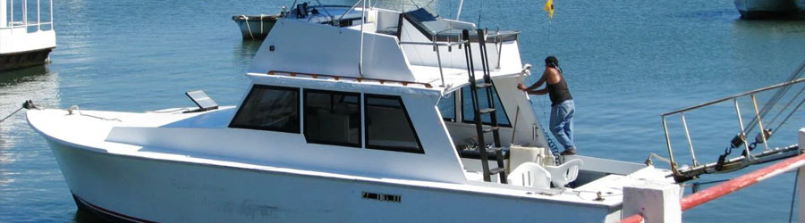 Mazatlan Private Full Day Sportfishing Charters 7