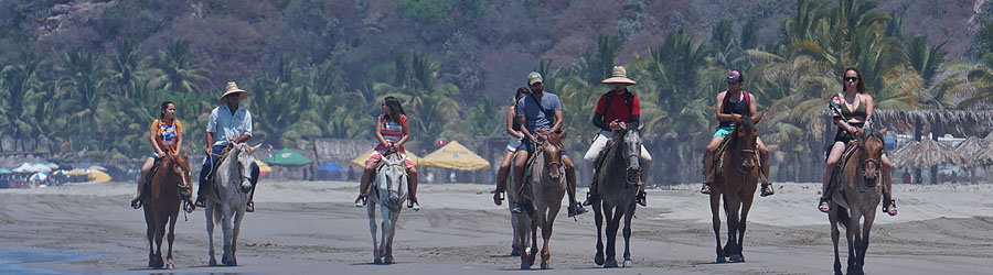 Mexico Pacific Beach Horseback Tour in Stone Island 7