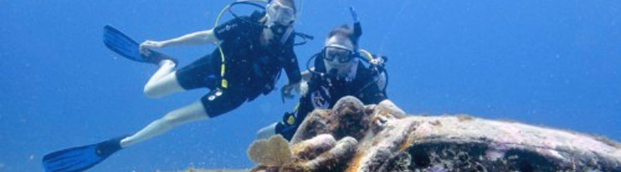 1-Tank or 2-Tank Mazatlan Scuba Diving 4