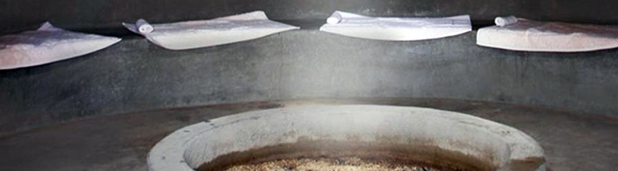 Indigenous Mexican Sauna in the Mazatlan Sierra Madre 7