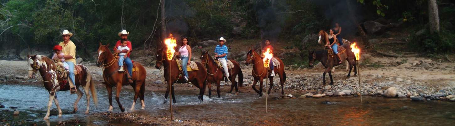 ATV, Canopy & Horses 5