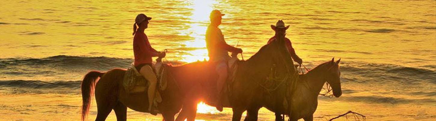Vista Paraiso Beach Horseback Ride 6