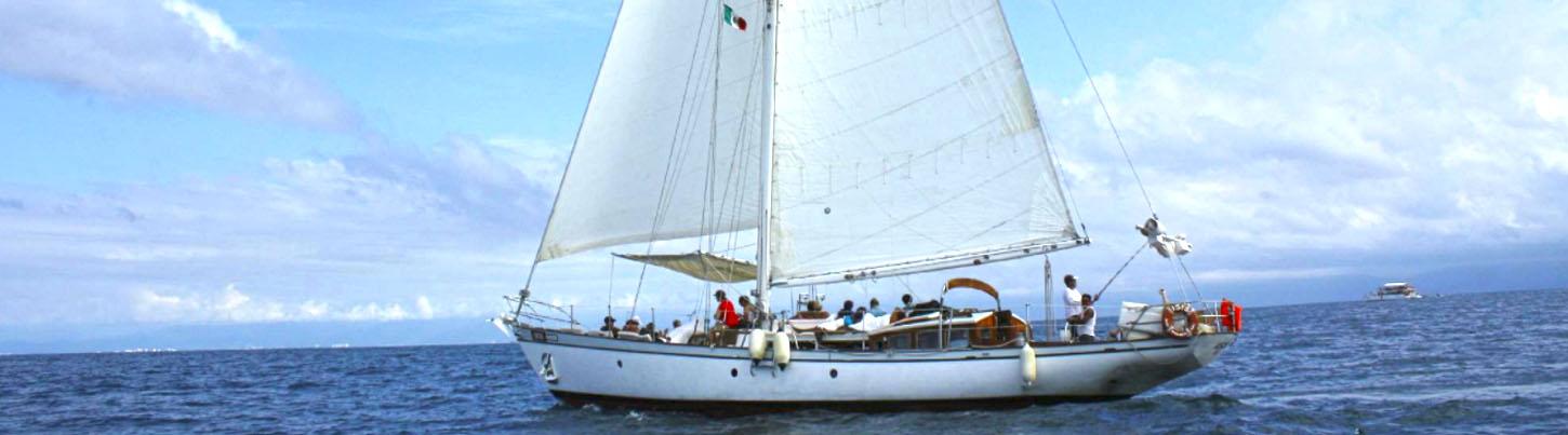 Half Day Sailing To Snorkel Los Arcos 5