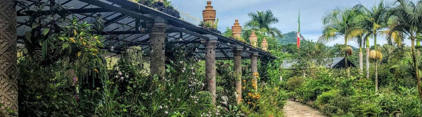 Private Botanical Gardens Eco-Tour & El Tuito Village Escape 8