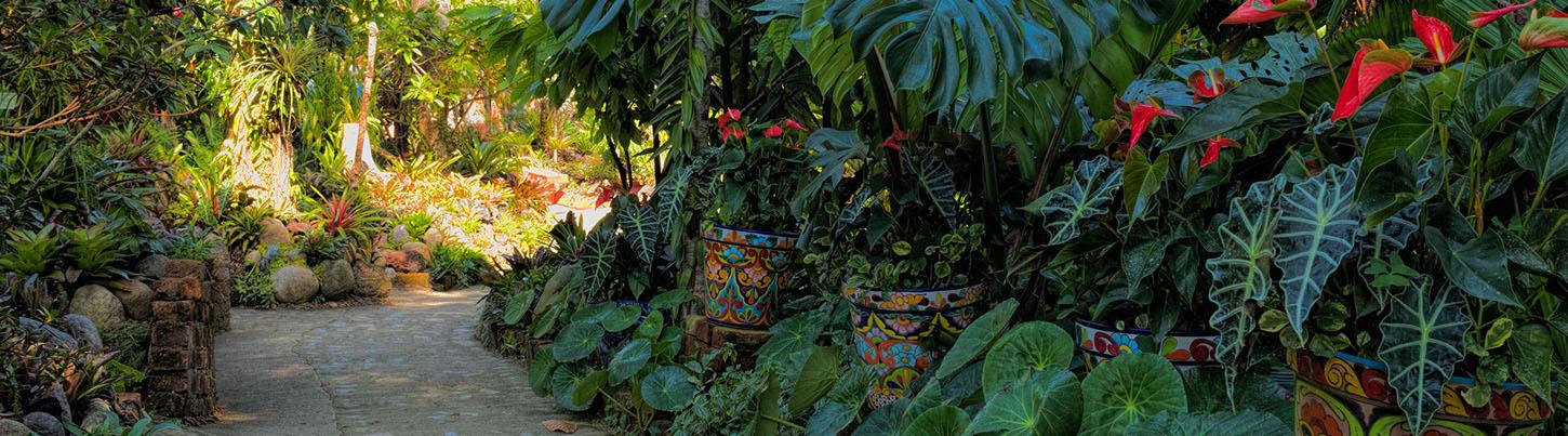 Private Vallarta Botanical Gardens Excursion 8