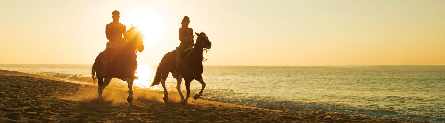 Vista Paraiso Canopy + Litibu Beach Horseback Riding 1