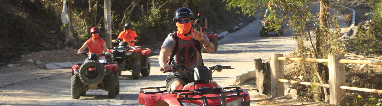 South Bay Jungle ATV + Canopy Indio 1