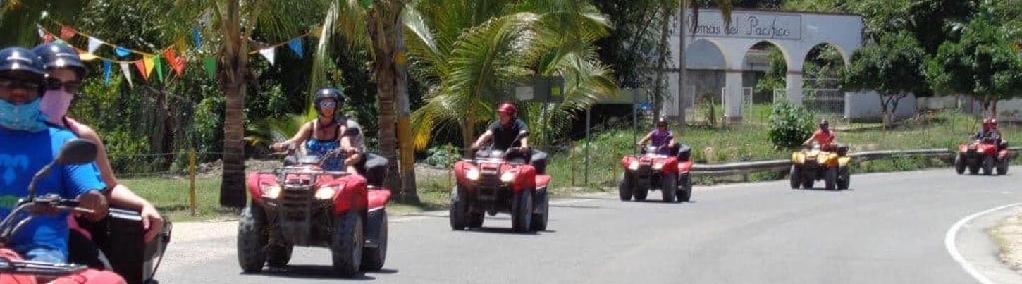 South Bay Jungle ATV + Canopy Indio 4