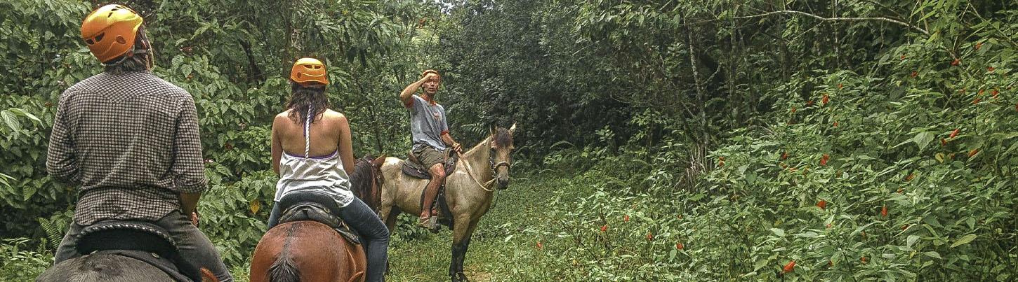 Jungle & Litibu Beach Sunset Horseback Ride 5