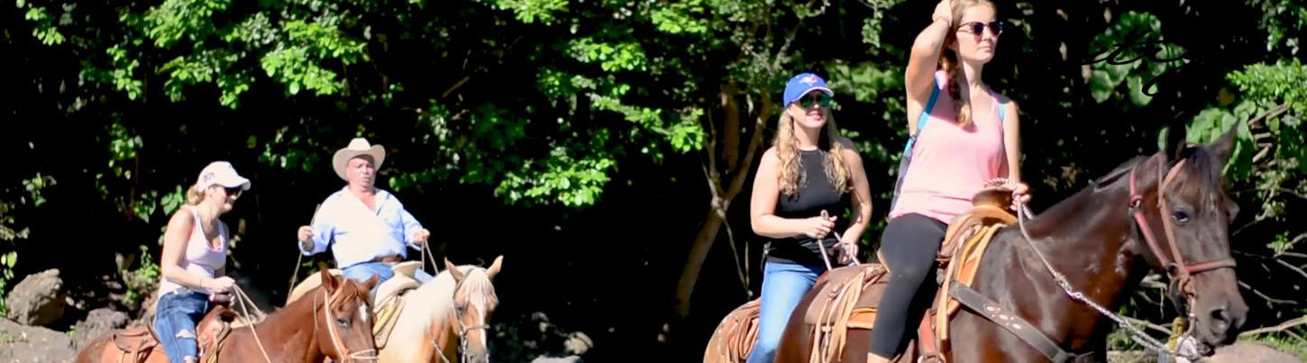 Jungle & Litibu Beach Sunset Horseback Ride 8