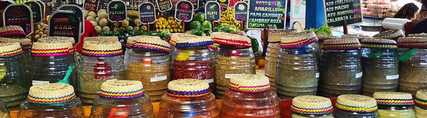 Playa Del Carmen Food Tour 5