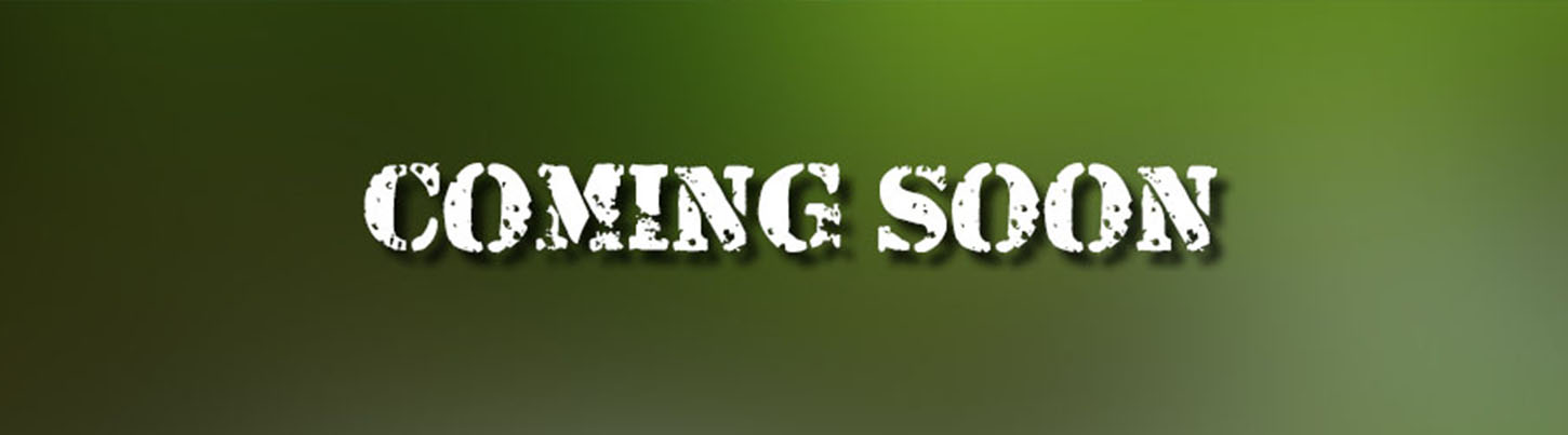 Private Cancun Nightlife Excursion 3