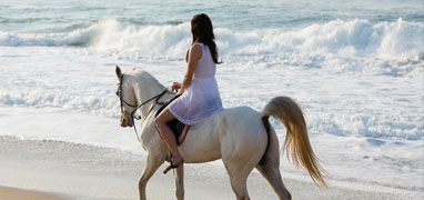 Migrino Beach Horseback Ride Cabo