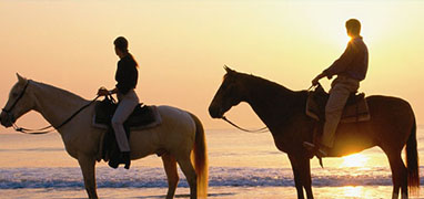 Private Baja Horseback Riding Adventure