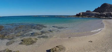 Santa Maria Cove & Chileno Bay Snorkeling