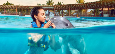 Los Cabos Dolphin Encounter