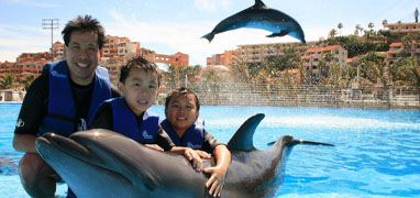 Cabo Dolphin Encounter – Family Dolphin Swim