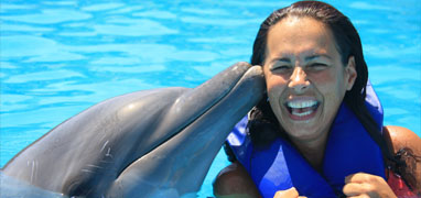 Los Cabos Dolphin Swim Adventure – Swim & Ride