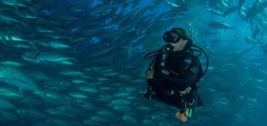 Espiritu Santo Dive