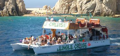 Cabo Booze Cruise Whale Watching