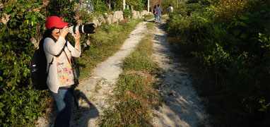 Cozumel Bird Watching Trails