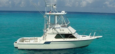 Cozumel Deep Sea Fishing