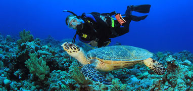 Discover Scuba Diving Cozumel