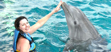 Cozumel Dolphin Swim Adventure