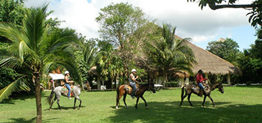 Jungle Trails Horseback Riding in Cozumel