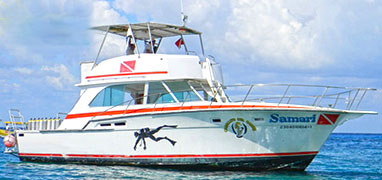 Private 48' Beltran Boat Charter