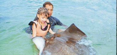 Stingray Encounter & Beach Break in Cozumel