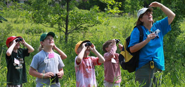 Sierra Madre Mexico Birding Excursion