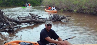 Mazatlan Sea Turtle Release & Mangroves Tour