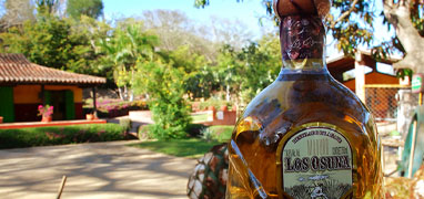 La Noria Mountain Village and Authentic Tequila Distillery Tour