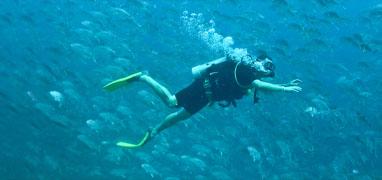 PADI Advanced Open Water Diver Certification