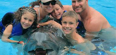 Dolphin Swim Memories