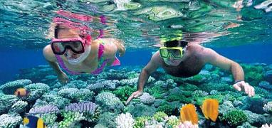 Puerto Vallarta Snorkeling Tours