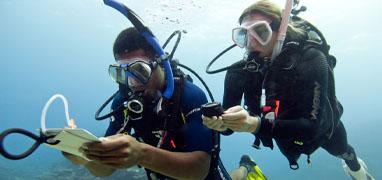 PADI Open Water Diver Certification