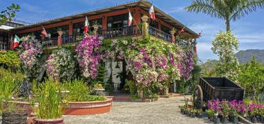 Private Vallarta Botanical Gardens Excursion